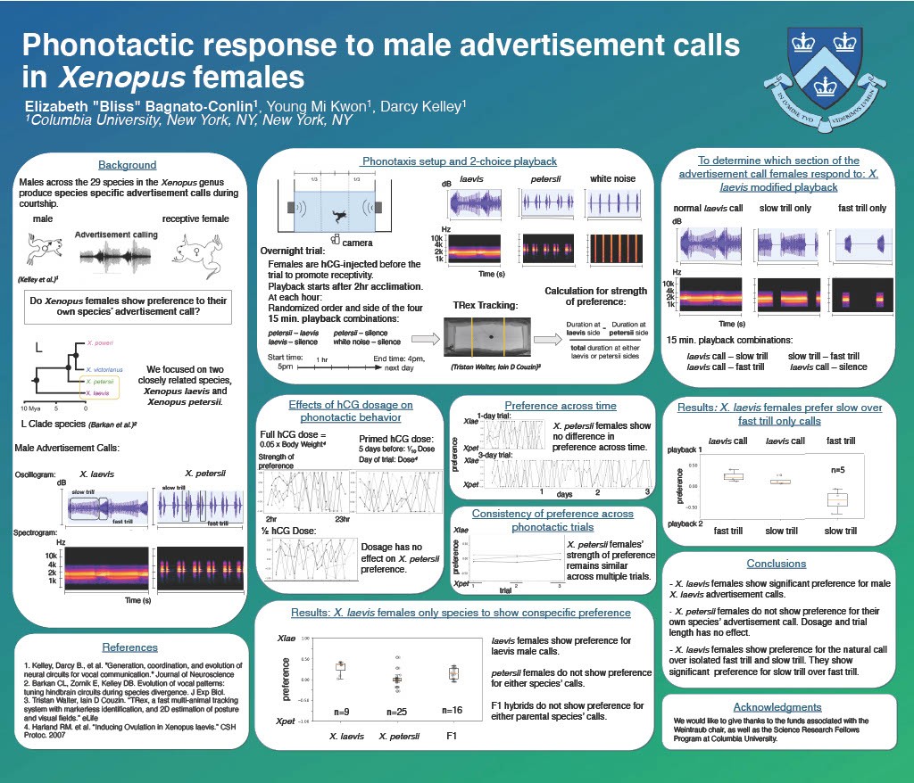 Bliss recently attended the 2023 Society for Integrative and Comparative Biology (SICB) conference, where they showcased their research through a poster presentation.