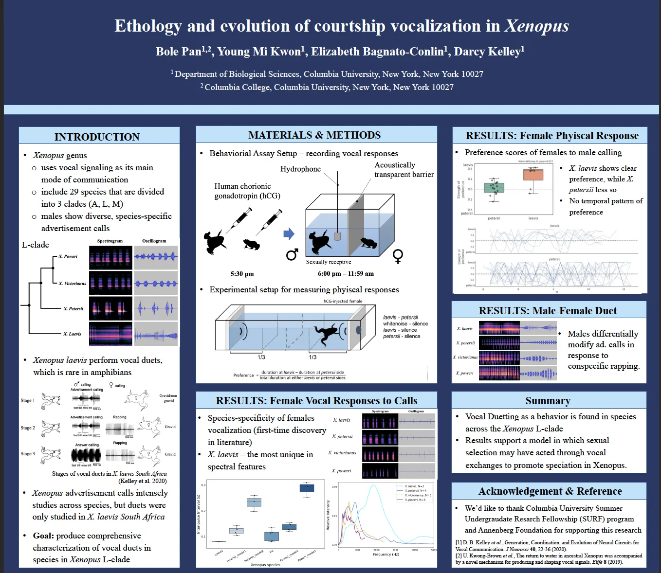 Ethology and evolution of courtship vocalization in Xenopus