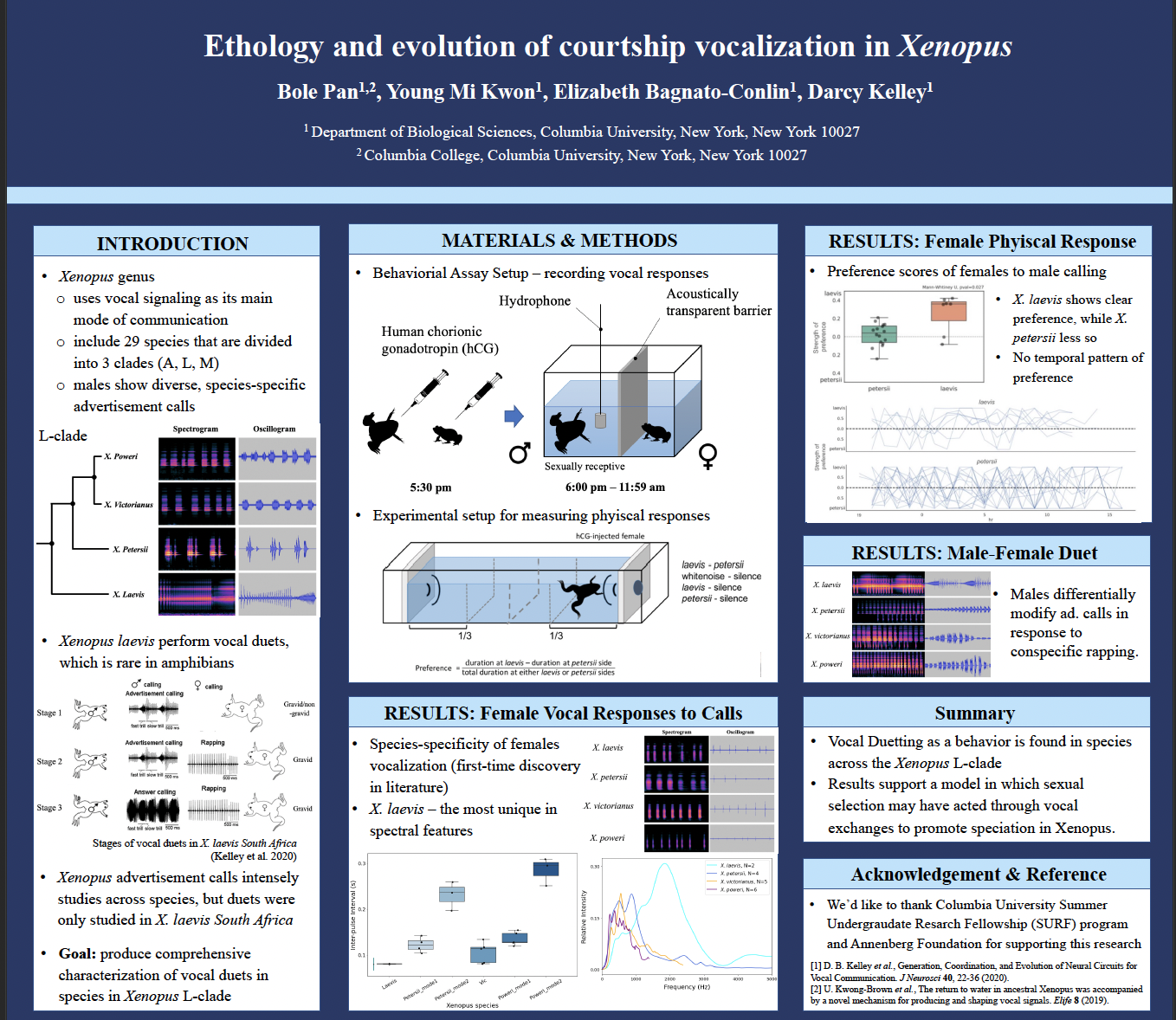 Ethology and evolution of courtship vocalization in Xenopus